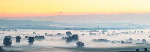 A foggy panorama at sunrise with trees and quiet landscape, Galgenberg, Aachried, Radolfzell, Lake