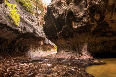 Magnificent Subway gorge landmark in the Zion National Park in Utah, USA