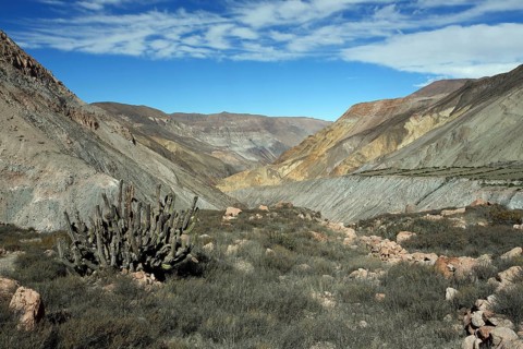 Landscape near Putre, Andes, Chile