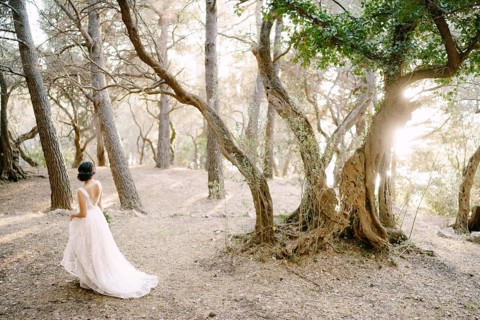The bride walks among the beautiful trees in the olive grove, back view .