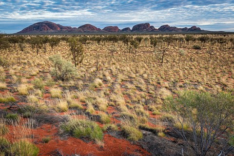 Kata Tjuta, formerly The Olgas, panorama, view from south, Uluru-Kata Tjuta National Park, Northern
