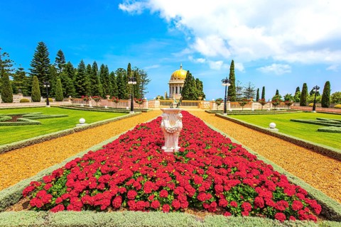 Luxurious flower bed with bright red flowers. Bahai World Center. Pilgrimage center and popular