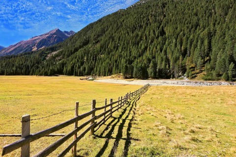 Scenic farm fields blocked bythe wooden fence. Steep mountain slopes overgrown with coniferous