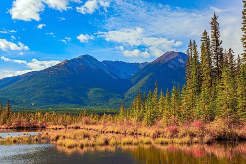Evergreen forests in the mountains of Canada. Yellow and orange foliage on the shores of the Lake