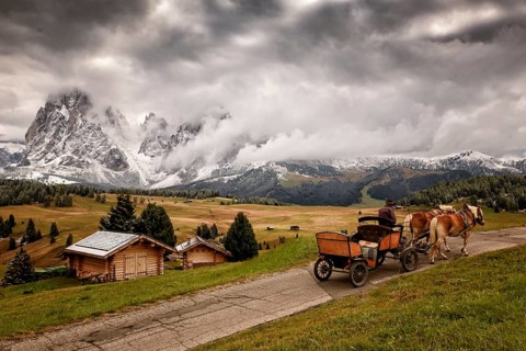 A driver in an old carriage with two horses in snowy Alpe di Siusi, Seiser Alm, Sassolungo a