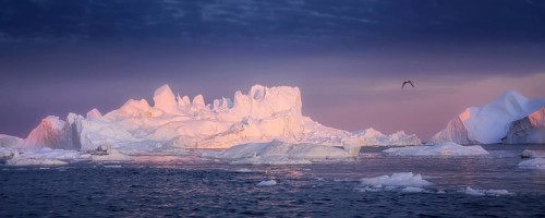 Floating glaciers in the rays of the setting sun at polar night