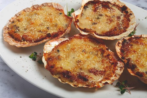 Scallop shells, stuffed, baked with cheese, in the oven, julienne with scallops