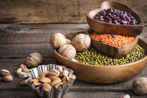 Sources of vegetable protein are various legumes and nuts