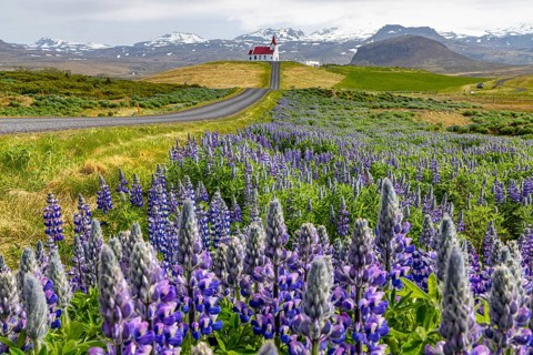 Ingjaldshólskirkja, Snaefellsnes, Iceland