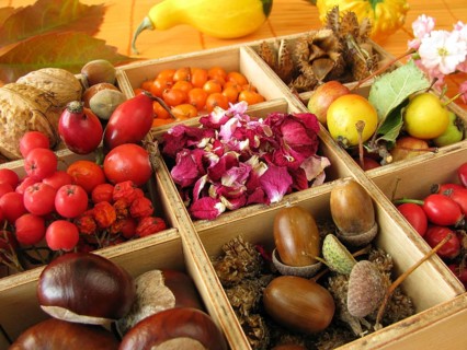 Box with autumn fruits and rose petals