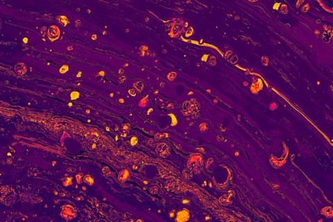 Abstract marbling art patterns as background
