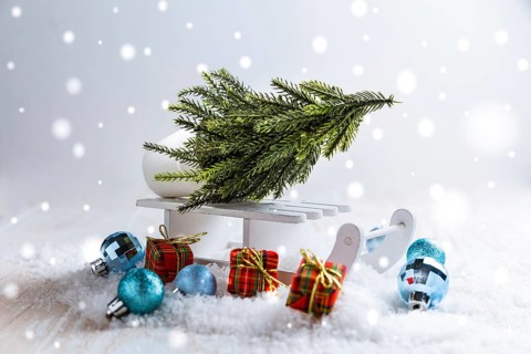 Snowy landscape with Christmas tree and small gifts on sleigh. Christmas decoration