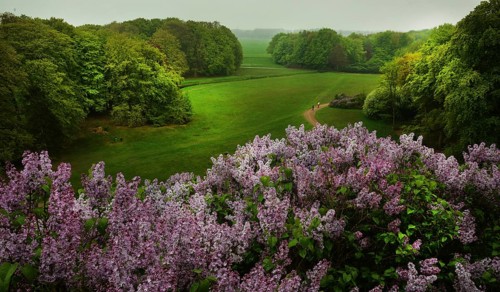 The forest of the Royal Estate De Horsten is worth seeing and has been open to the public since