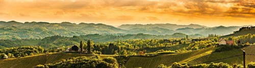 Panoramic view at famous wine street in south styria, Austrian destination, tuscany like vineyard