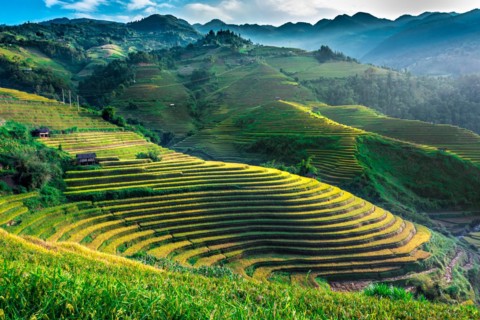Landscape view of rice fields in Mu Cang Chai District, Yen Bai Province, North Vietnam