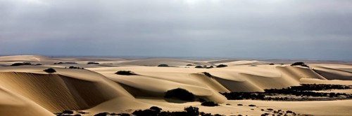 Sand dunes, desert near Walvis Bay in Namibia