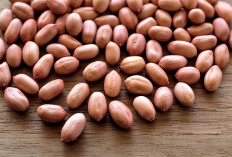 Pea nuts (Arachis hypogaea Linn) ground nuts, South India, India, Asia