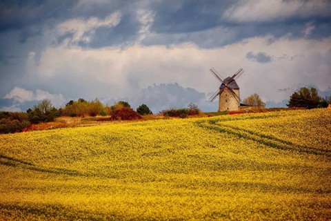 Windmill, Devil's Mill near Warnstedt Harz Mountains
