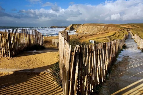 Paths to the beach, Cote Sauvage, Quiberon Peninsula, Morbihan, Brittany, Ile de Quiberon, France