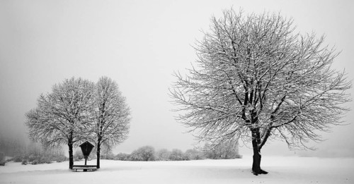 Winter idyll