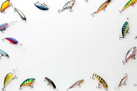 Flat lay colorful fish bait. Beautiful photo