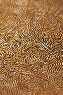 Cover of an old 19th century book, short depth of field