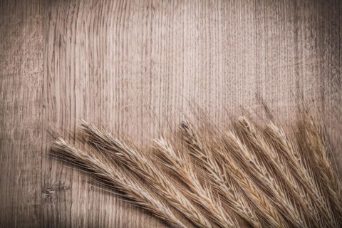 Golden wheat rye ears on wooden board horizontal version food and drink concept