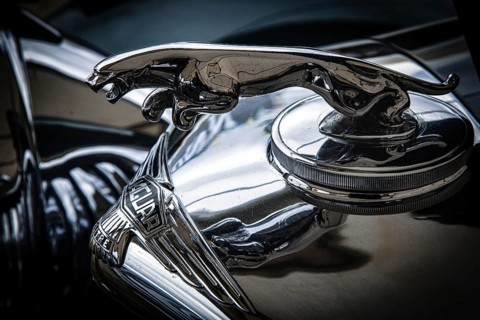 Close-up of an old Jaguar automobile emblem