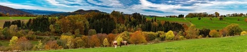 Autumn forest in the Rhön, panoramic photo, Gersfeld (Rhön), Hesse, Germany