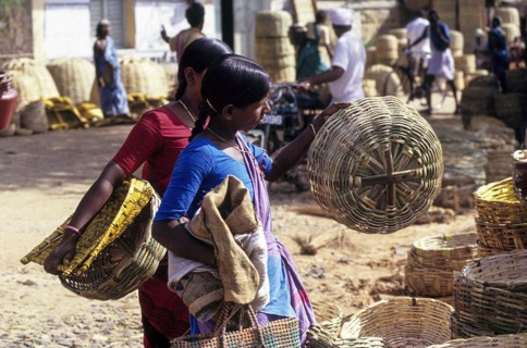 A woman checking the bamboo basket quality for purchasing at Thudiyalur, Coimbatore, Tamil Nadu,