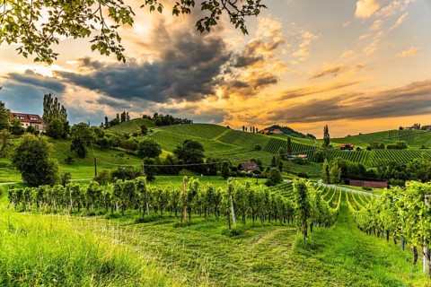South styria vineyards landscape, Sulztal near Gamlitz, Austria. Grape hills view from wine street