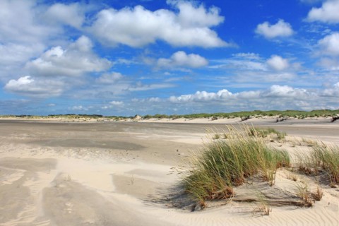 Sand dunes on the beach. of Norderney, East Frisia, Lower Saxony, Federal Republic of Germany