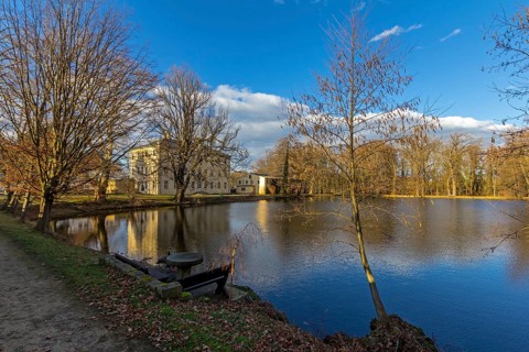 Pond