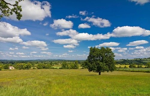 View of the hilly landscape in Cotswolds, Castleton, UK