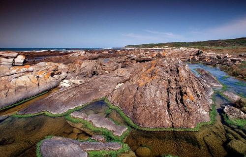 Rocky coast, South Africa, Port Elizabeth, Ibhayi