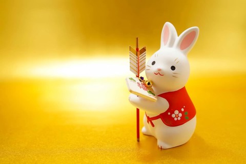 Rabbit year New Year material (2023 New Year). Shooting Location: Yokohama-city kanagawa prefecture