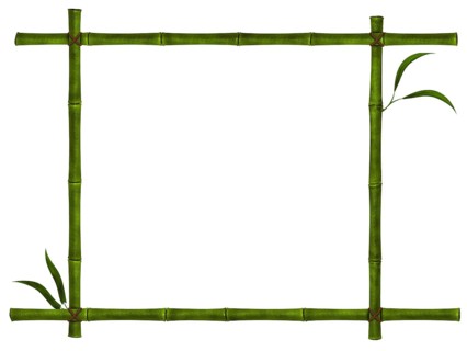 Illustration of bamboo frame with leaves