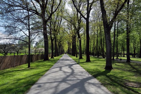 The famous Hofgarten city park situated near the Jean Paul, Wagner and Liszt museums on a sunny