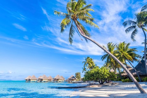 Bora Bora Island, French Polynesia. Web banner in panoramic view this amazing Beach