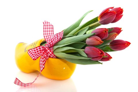 Dutch national products with clogs and tulips