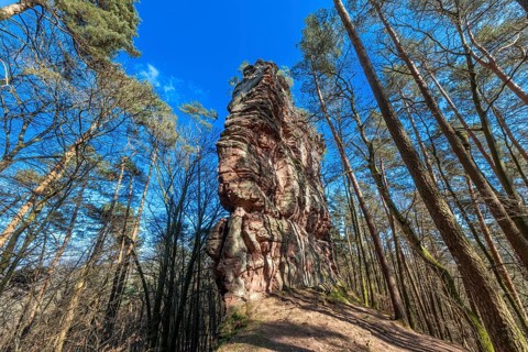 Geiersteinfelsen, Geierstein, Palatinate Forest, Bruchweiler-Bärenbach, Rhineland-Palatinate,