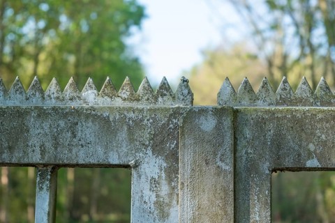 Borken, NRW, Germany, Weathered concrete fence with sharp triangular points is protecting a forest