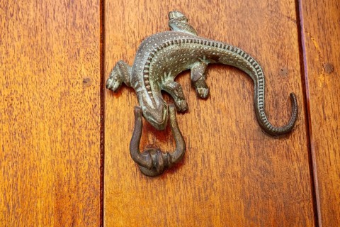 Artful metal door knocker in the shape of a lizard on a wooden door, Old Town, Cartagena, Colombia