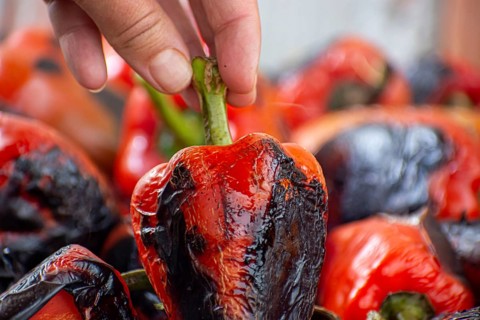 Red peppers roasting on a wood-fired stove in preparation for making ajvar, a traditional serbian