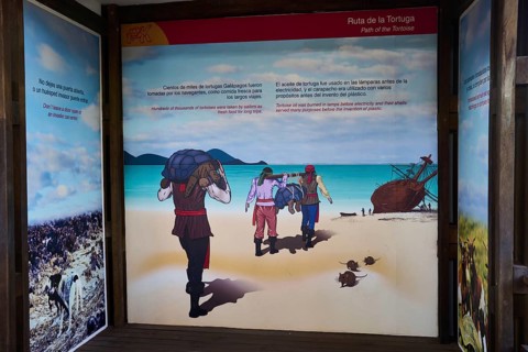 Poster of the Ruta de las Tortugas, history of the tortoises on Galapagos, sailors bring the