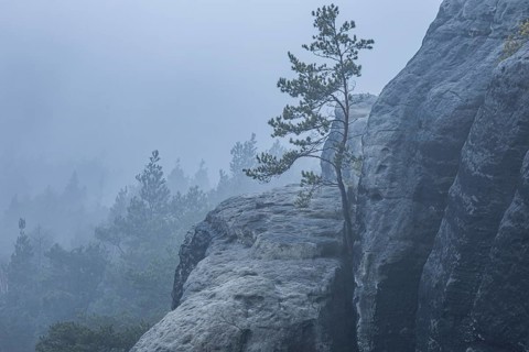 Foggy atmosphere on the Gamrig near Rathen in Saxon Switzerland, Rathen, Saxony, Germany