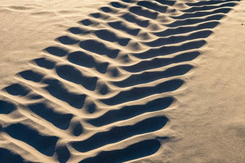 Close-up of tire tracks forming a wavy pattern on a sandy surface, illuminated by sunlight
