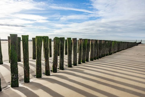 Row of wooden piles, groyne, with algae growth casts shadows on a sunny beach, Groede, Zeeland,