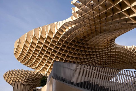 Seville mushrooms in the center of the Andalusian capital in Spain