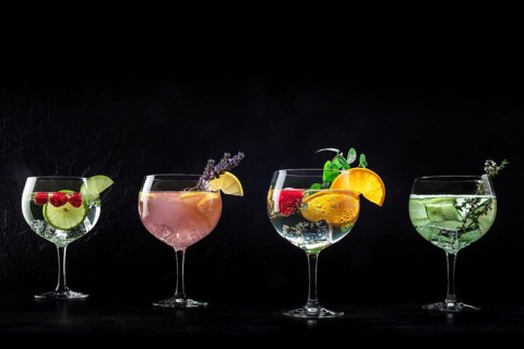 Fancy cocktails with fresh fruit. Gin and tonic drinks with ice at a party, on a black background,